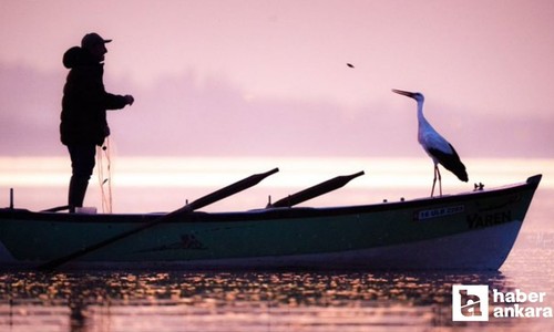 Yaren Leylek, 14. yılında da geldi