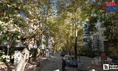 Ankara'nın kalbinde yemyeşil bir semt: Başkentin ilk yıllarının izleri