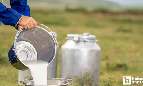 Geçmeyen öksürüğü kökünden söküp atacak! Kaynamış sütün içine 4 tane koyun