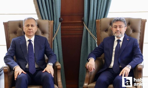 İki bakanlık başıboş sokak köpeği sorununun çözümü için harekete geçtiler