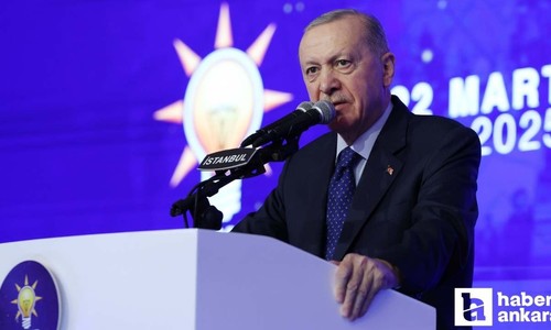 Cumhurbaşkanı Erdoğan: 4 gündür milletin huzurunu kaçırmak için her şeyi yaptılar