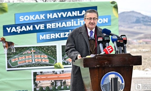 Türkiye'nin en büyük  Sokak Hayvanları Rehabilitasyon Merkezi Altındağ'da açılıyor