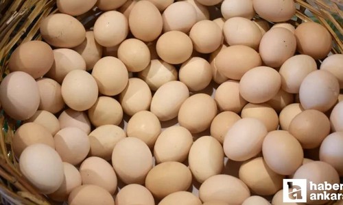 Ticaret Bakanlığı'ndan artan yumurta fiyatlarına müdahale