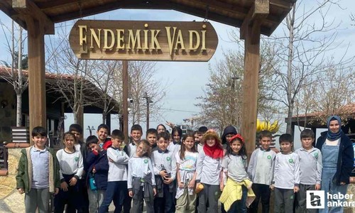 Sıcak havalarda öğrencilerin tercihi Pursaklar Belediyesi Endemik Vadi oldu