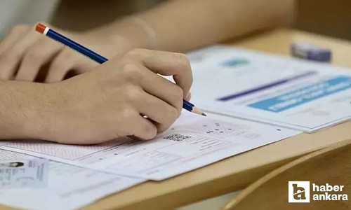 Yabancı Dil Bilgisi (YDS) Seviye Tespit Sınavı sonuçları açıklandı