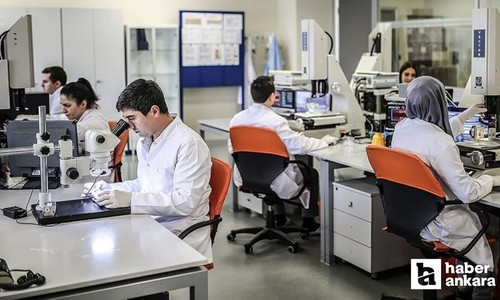 Türkiye'nin yeni yatırım teşvik sisteminin detayları belli oldu