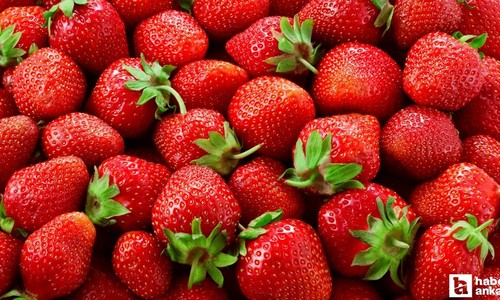 Çilekleri bu yöntemle saklayın: 2 hafta çürümeden bozulmadan duracak