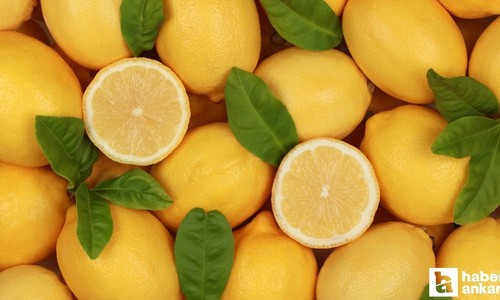 Ticaret Bakanlığı limon ihracatını geçici olarak durdurdu