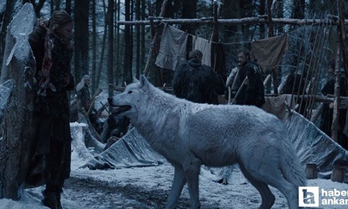 Game of Thrones dizisindeki ulukurtlar 12 bin yıl sonra hayata geri döndürüldü