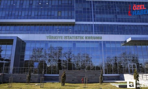 TÜİK Cuma gününe kadar 4 veri daha açıklayacak