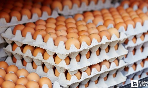 Yumurta fiyatları neden artıyor? Uzmanlar yanıtladı
