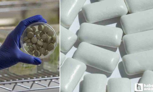 Virüslerden sakız çiğneyerek korunmak mümkün olacak