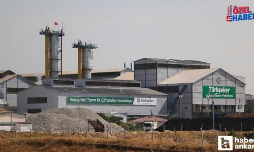 Türkşeker Ankara'da 196 işçi alacak: Başvurular başlıyor