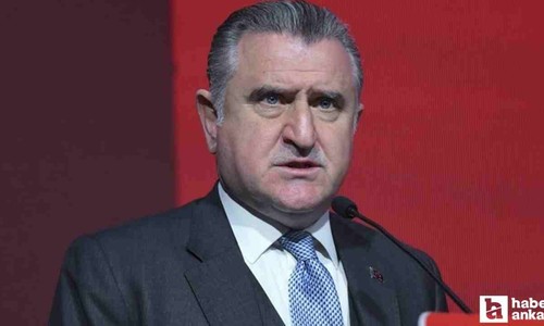 Bakan Osman Aşkın Bak'tan milli güreşçilere tebrik mesajı