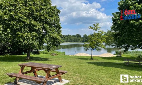 Piknik yapmayı özleyen Ankaralılar buraya akın edecek! Ankara'nın en güzel 10 mesire alanı
