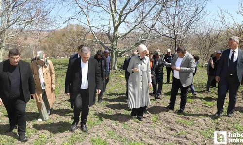 Milletvekili Yıldız, Ankara'da zirai don incelemesi yaptı