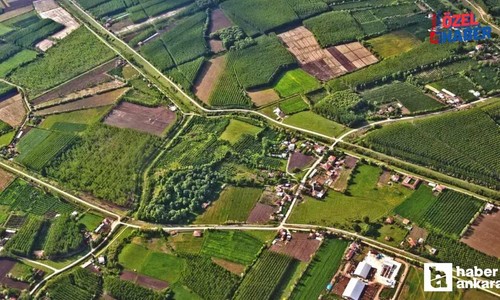 Ajda bilezik parasına tapulu arsa! Milli Emlak Ankara dahil 46 ilde hazine arazisi satıyor