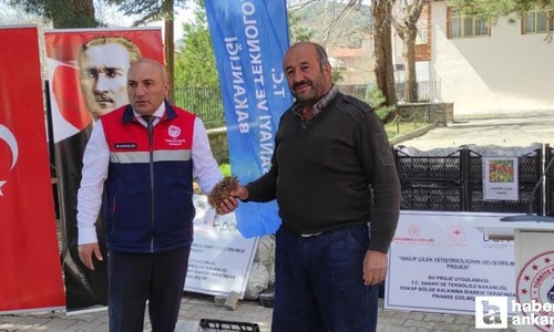 Çorum'da çiftçilere 140 bin çilek fidesi ücretsiz dağıtıldı