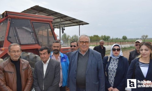 Konya’nın 'yeşil altını' kenevirde hedef büyüdü
