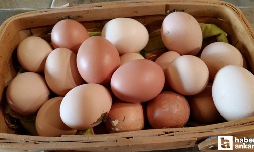 Yumurta hızlı bir şekilde düşmeye başladı: İşte sebebi