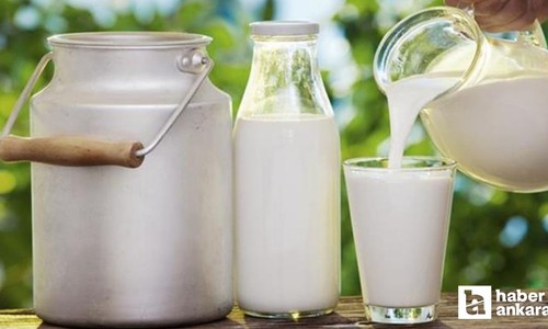 2024 senesinde Türkiye'de 22,5 milyon ton çiğ süt üretildi