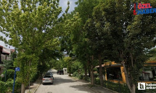 Ankara’da burada ‘yaşam’ var: Yıllardır kendisini hatırlatıyor