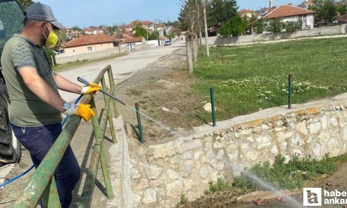 Çorum'da belediye ekipleri sivrisinekler için ilaçlama çalışmalarına başladı
