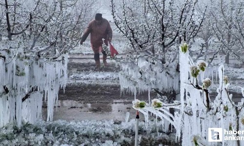 Zirai Don Meclis Araştırma Komisyonu ilk toplantısını 14 Mayıs'ta yapacak