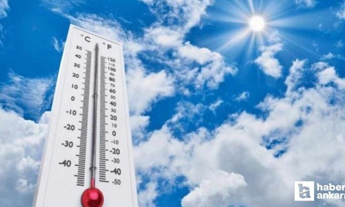 Kalp ve böbrek hastalığı olanlara sıcak çarpması uyarısı!