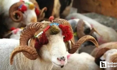 Kurban Bayramı tatili 9 gün olur mu? Karar için tarih belli oldu