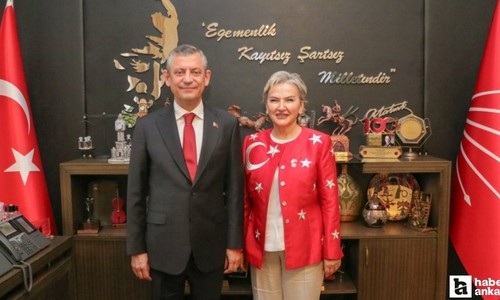 CHP "Hayvan Bakımevleri İzleme ve Değerlendirme Komisyonu" kurduklarını açıkladı