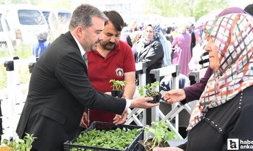 Pursaklar Belediyesi ata tohumu sebze fidesi dağıttı