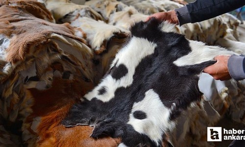 Ankara Büyükşehir Belediyesi kurban atıklarını ücretsiz toplayacak
