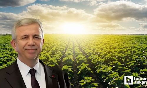 Mansur Yavaş zirai don mağduru çiftçilere destek sağlayacaklarını duyurdu