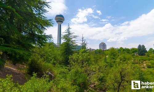 Ankara'nın kalbinde bir hafıza yarığı! Şehrin merkezinde Cumhuriyetin simgesi doğal SİT alanı