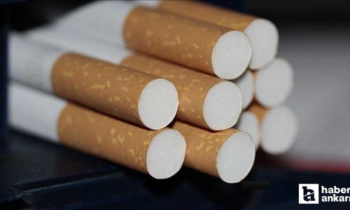 Türkiye'de sigara günlük yaklaşık 300 kişinin ölümüne neden oluyor