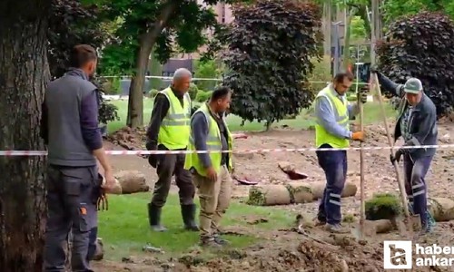 ABB, Güvenpark'ta yeşil alan zenginleştirme çalışması yaptı