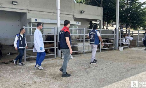 Altındağ Belediyesi Kurban Bayramı öncesi ilçe genelinde hazırlıkları tamamladı
