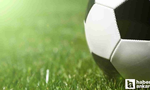 Profesyonel liglerde başlangıç tarihleri belli oldu