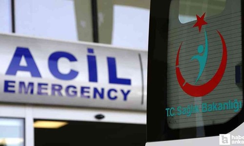 Havalar ısınınca ortaya çıktı: Bilinçsiz müdahale ölüme kadar götürüyor