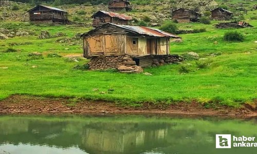 Ankara'nın en yeşil köyü, adeta başkentin Karadeniz'i! Şırıl şırıl akan deresi ve yeşilin her tonu burada