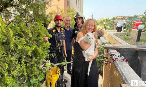 Çankaya'da apartman boşluğuna düşen kediyi itfaiye ekipleri halatla inerek kurtardı