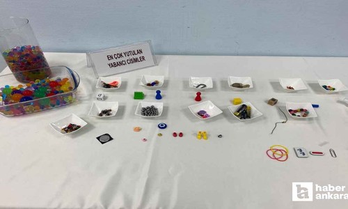 Ankara'da düzenlenen sempozyumda çocuklu ailelere uyarı yapıldı