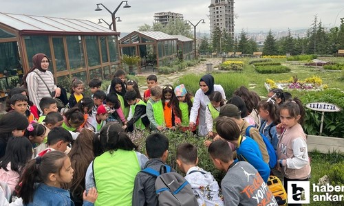 Pursaklar Belediyesi Endemik Vadi öğrenciler için eğitim mekanı oldu
