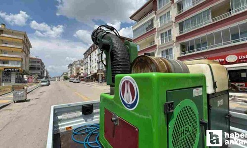 Sincan Belediyesi haşere ve sineklere karşı ilaçlamalarını sıklaştırdı