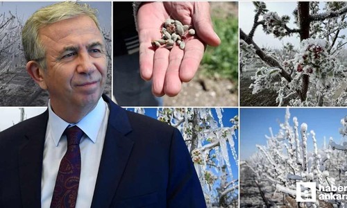 ABB'den zirai dondan etkilenen Ankaralı çiftçilere destek!