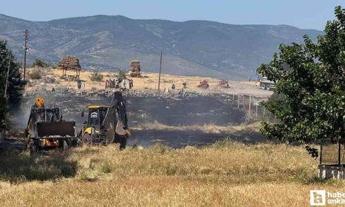Güdül'de otların tutuşmasıyla başlayan yangın tarım arazisine sıçradı