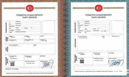 Ev alırken tapu rengine dikkat! Pembe ve mavi tapu ne anlama geliyor?