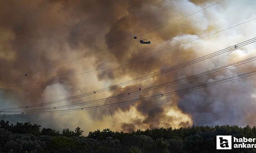 Bakan Yumaklı acı haberi verdi: 1 günde 67 orman yangını çıktı!
