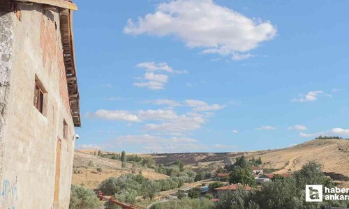 Sincan Belediye Başkanı Murat Ercan: Bir kıvılcım 300 dönüm emeği kül etti